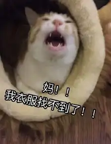 妈我饿了表情包无水印版
