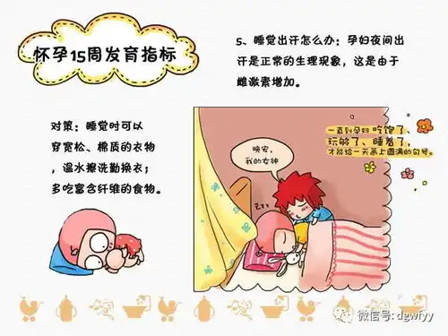 怀孕指南15怀孕15周趣味图解
