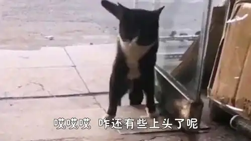 爆笑妹子好歹注意点形象,摄像机无处不在呢
