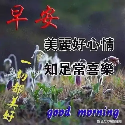 7月14日最漂亮早上好表情动态图片带字和鲜花,早上好问候祝福动态图片
