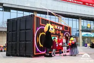 神秘集装箱双十一期间惊现苏宁广场这次又是什么福利呢
