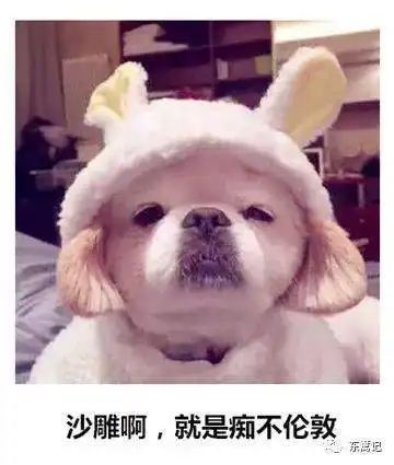 掘港方言诗7掘港话与网络流行语
