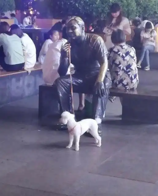 搞笑gif趣图在地铁上遇到一个很有爱心的妹子给大叔递纸巾
