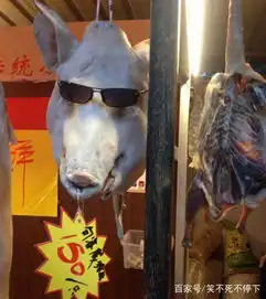 搞笑图片幽默段子笑话同学,最近是不是学习压力很大啊
