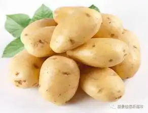 丽景搞事情,疯一不合就打折
