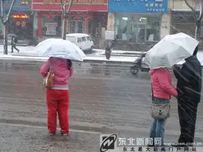 沈城昨日大风起扬沙入夜雨雪来洗尘组图
