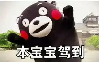 非沪籍孩子想要留沪上学,这些政策必须要搞懂
