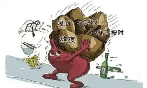 熬夜喝酒对肝不好,早起的这3个不良习惯,对肝也不好
