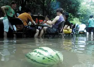 配图火爆朋友圈天气热的图片及搞笑句子
