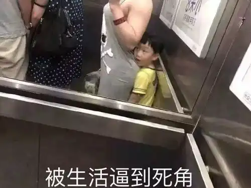 我的收藏
