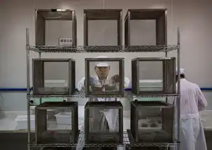 探访世界最大的蚊子工厂靠蚊虫绝育抗击寨卡高清组图
