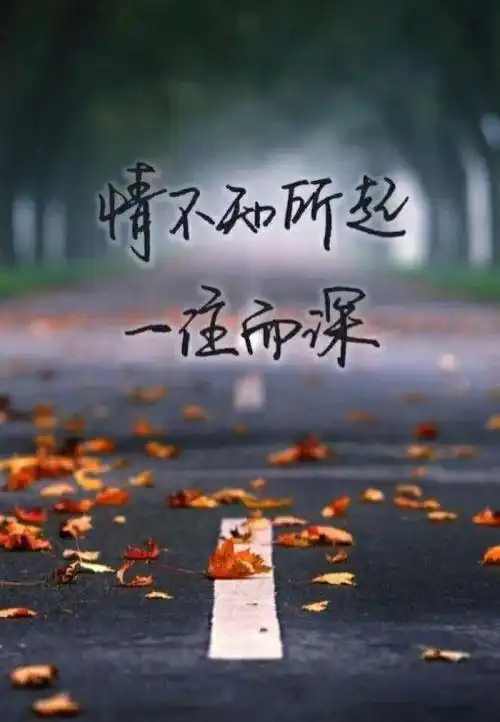 中秋佳节,最牵挂的人是你
