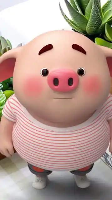 可爱的猪小屁
