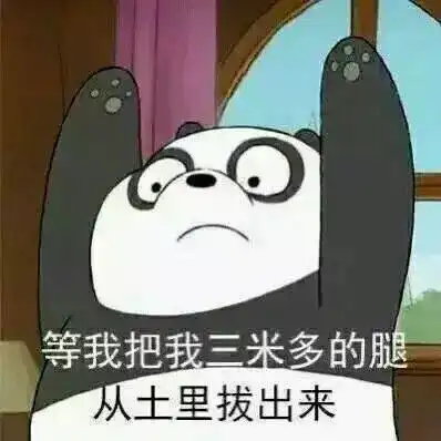 醒一醒吧,发腮这件事真的强求不来
