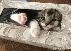 搞笑图片幽默段子笑话老哥,你家的油烟机成精了吧
