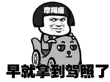 十二星座学车表情包,超搞笑,我双子挺准的,看看你的准不准
