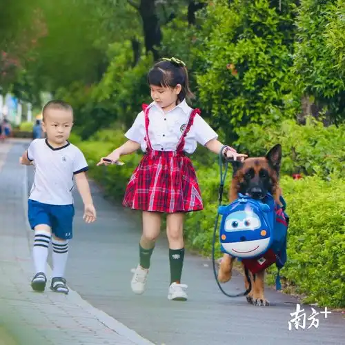 有趣深圳网红狗帮偷看电视女孩打掩护

