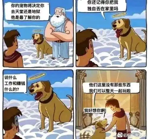 31梗图,沙雕图,memes,天堂笑话,表情包,搞笑图片,搞笑gif动图日更侵删哔哩哔哩
