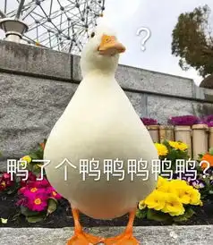 男子飞机上光脚滑屏幕换片800万网友炮轰是不是以后要像米米仙子一样坐飞机啦
