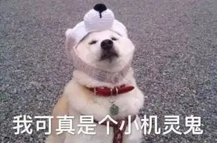 微笑可延缓衰老,大笑可减肥,世界微笑日,和动物们一起微笑吧工作
