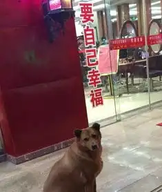 搞笑图片幽默段子笑话老哥,你这样玩跷跷板是想和女朋友分手吧
