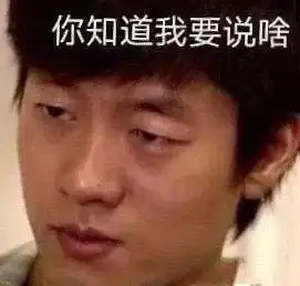 洪世贤你好骚啊表情包大全
