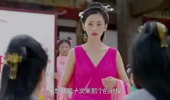 海岩儿子太子妃升职记破布凉鞋2毛特效起底女主背景组图
