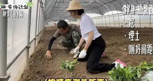 孙俪又冲上热搜,竟然变成农民学习务农,整个过程真的太有趣了
