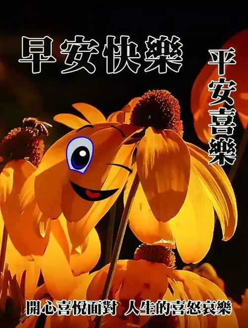 微信朋友圈好看早上好问候语表情图片最新微信漂亮的早上好动态图片

