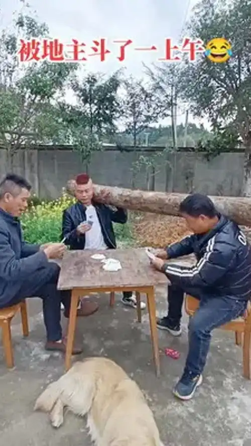 碰到一个猪队友,抬了一上午树木了搞笑视频斗地主最新惩罚
