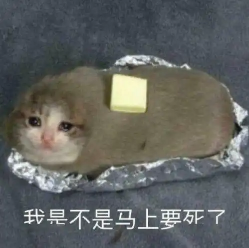 夫妻聊天记录曝光男人到底多怕死哈哈哈哈哈哈哈哈哈哈哈
