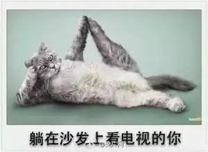 过年期间的你搞笑文字图片吃瘦点才有资格睡

