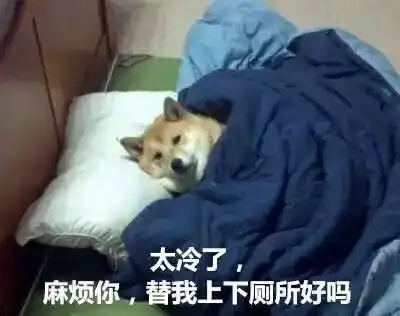 冷冷冷不冻哭你算我输
