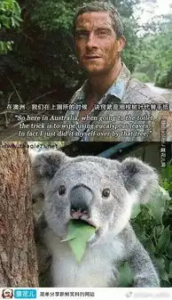 哈洽哈哈啊哈哈哈哈哈哈哈洽哈哈哈哈哈哈哈哈哈啊洽哈洽哈哈哈哈哈哈哈哈哈哈哈哈哈洽哈哈哈哈哈洽哈啊哈哈哈哈
