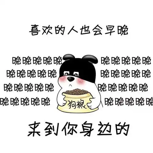 神宫桥杨氏十一兄弟陪伴88岁老母亲天鹅堡之旅
