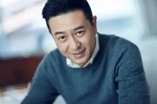张嘉译,一个行走的流量包

