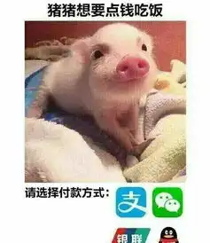 双十二小调查剁完手的你还在吃土吗
