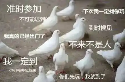 14号台风灿鸿生成,最大风力14级对电白有影响吗
