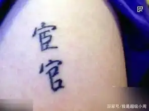 外国搞笑汉字纹身,不懂汉字就不要纹啦,笑死人不偿命的
