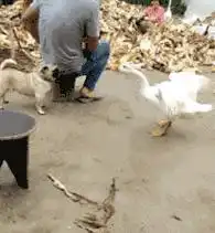 搞笑gif小伙子,这发明不错
