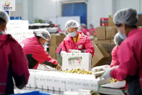 每日优鲜叮咚买菜齐齐上市,争抢生鲜第一股,谁将成为赢家
