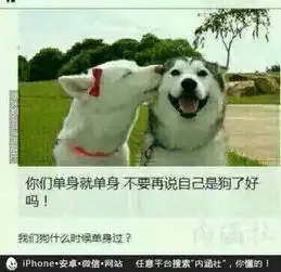笑话大全爆笑图片幽默短片小故事冷笑话精选图片大全2345每日一乐
