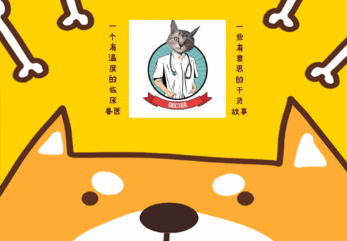 都说猫咪不可训退伍老兵展现神操作,将猫咪训成特种兵
