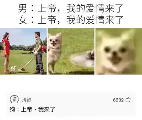 轻松一刻相爱的人,因为叫不出对方名字就违法

