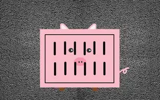 有趣的井盖万里挑一图片壁纸4
