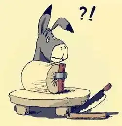 一头去上班的驴,太经典了不看三遍不过瘾
