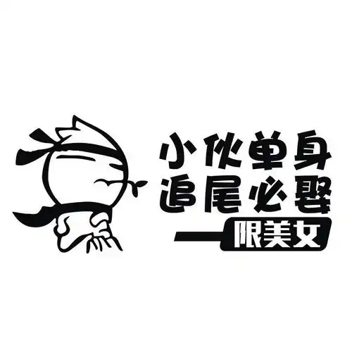 汽车贴纸创意文字小伙单身追尾必娶车贴大龄剩男个性搞笑车尾车贴
