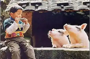 最新搞笑图片搞笑动态图片搞笑gif动态图片好看的gif动态图片
