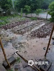 南宁最高温30广西北部却是暴雨大风冰雹
