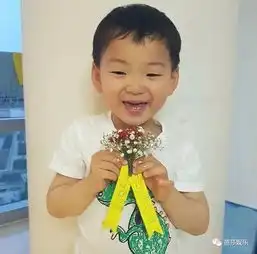 宋家三胞胎长大了民国瘦出尖下巴,还在幼儿园里结婚了
